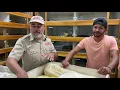 Reticulated Python Breeding - Getting Technical