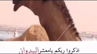 شيلة اذكروا ربكم يامعشر البيدوان 