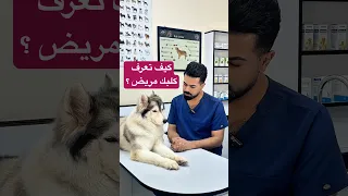 كيف تعرف كلبك مريض علامات المرض عند الكلاب 