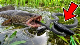 САМАЯ ЗРЕЛИЩНАЯ И СТРАШНАЯ РЫБАЛКА! ОПАСНЫЙ КАЗАХСТАН 2! Рыбалка на озере Балхаш, часть 2