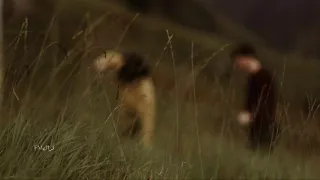 اصاله غيرتك عليه بطيء دندنها