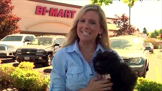 Bi-Mart Commercial Montage