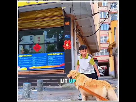 This Dog Braved the Storm to Bring His Little Master Home! 🥹🐕 #pets #cute #funny #shorts