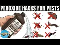 Grandma s 35 Hydrogen Peroxide Hacks To Kill Roaches Ants Bedbugs Fleas Mice Etc