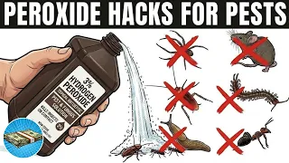 Grandma s 35 Hydrogen Peroxide Hacks To Kill Roaches Ants Bedbugs Fleas Mice Etc