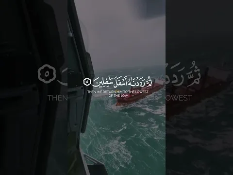 اكتب شيء تؤجر عليه 🤍🌿🫂