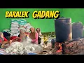 Download Lagu KEHIDUPAN MASYARAKAT SUKU JAWA EKS TRANSMIGRASI DI SUMATERA BARAT DALAM ACARA PESTA PERNIKAHAN