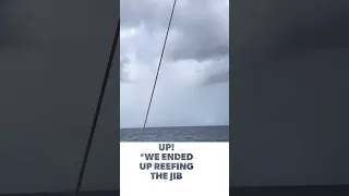 Sailing between squals in the Bahamas with our pup onboard!