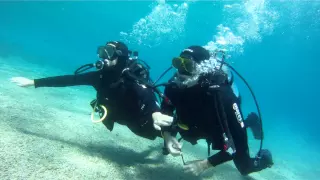 SCUBa Diving in Split Croatia