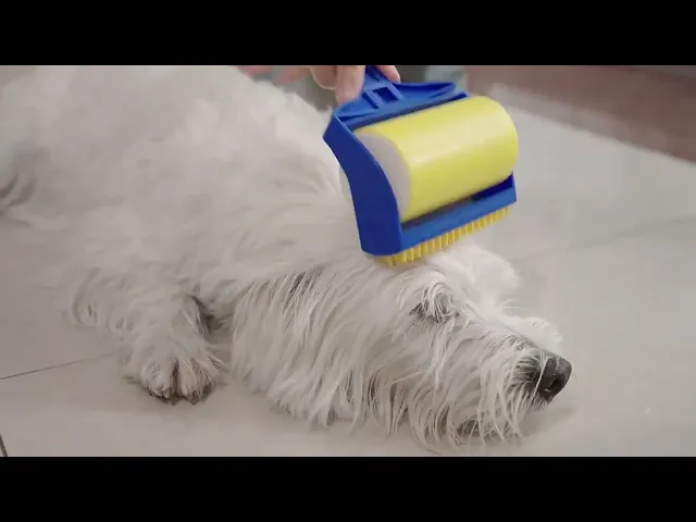 MOMOVIDA PB-1 2in1แปรงหวีขนสัตว์