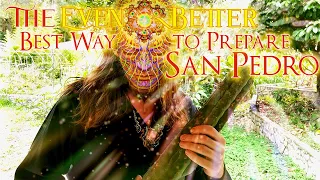 how to prepare san pedro best fastest and easiest method