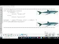 AP CSP Units 4 and 5 REVIEW Lesson 4 Procedures