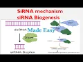 siRNA Biogenesis | RNAi | siRNA Mechanism for beginners | Biology lectures |