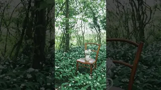 انا لك على طول العندليب 