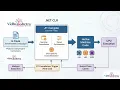 CLR Execution Process What Happens When You Press Run