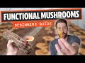 Functional Mushrooms Ultimate Beginners Guide