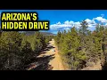 I Wasn t Expecting This on Arizona s Highway 288