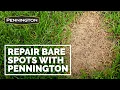 Fix Bare Spots in Your Lawn with Pennington One Step Complete 15 second