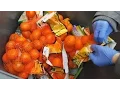 Download Food waste: How much food do supermarkets throw away? (CBC Marketplace) mp4 3gp mp3 videos - waplic