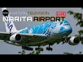 Download Lagu [🔴 LIVE] NARITA INTERNATIONAL AIRPORT LIVE|成田国際空港ライブ配信中|PLANE SPOTTING|2025/10/019