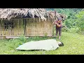 Download Lagu The unfortunate fate of a girl living alone who was harmed by a bad person