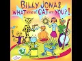 Some Houses - Billy Jonas
