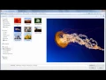 Multiple File Upload Zip and Download - PHP