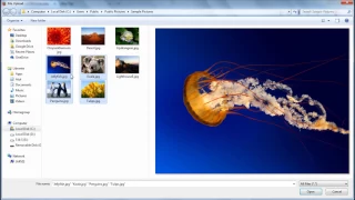 Multiple File Upload Zip and Download - PHP