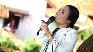 Download Manuk Puter Geni - Live Susy Arzetty Desa Jambak Cikedung Indramayu MP3