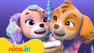 Patrulha Canina | Resgates de Sereia com a Filhote-Sereia Skye! #2 | Nick Jr. Português