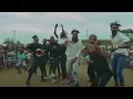 Download Lagu Ziqo - Muleza (Dance Video)