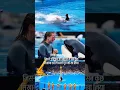 Download Lagu Dolphin 😭 #youtubeshorts #dolphin #dolphins #trendingshorts #youtubeshorts