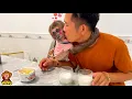 Download Lagu How happy Monkey YoYo Jr is with dad