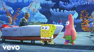                                                                دندنها