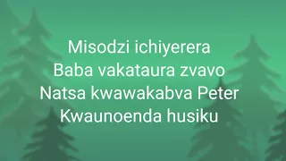 charlie kay kumusha lyrics video