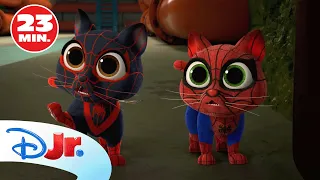 MARVEL SPIDEY Y SU SUPEREQUIPO: Una fiesta sorpresa / Caos gatuno 🕷️ | @DisneyJuniorES