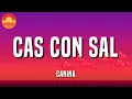 🎶🎶 Reggaeton || Canina - Cas Con Sal | Bad Bunny, Rauw Alejandro, Romeo Santos (Letra\Lyrics)