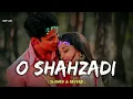 Download Lagu Shehzadi - Badshah X Badal (Slowed \u0026 Reverb) | O Shehzadi Tu Bilkul Vaisi Hai |New Song 2024