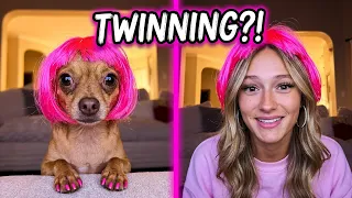 Alli Ingram is live! My dogs Halloween try on haul ￼