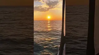 Liquid gold☀️🌊 #sailing #sunsetview