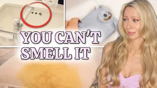 Your House Smells... Here Are the 5 Places It’s Hiding