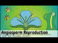 Download Lagu Angiosperm (Flowering Plants) Reproduction UPDATED MP3