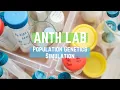 Population Genetics Simulation