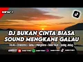 DJ Bukan Cinta Biasa - Afgan | Sound Yg Viral Di Tiktok 2024