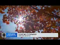 Looking for a fresh look at fall colors Head to Waconia