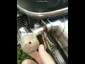 Download Lagu Dunia tipu-tipu😂