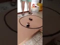 RoboKoding demo workshop
