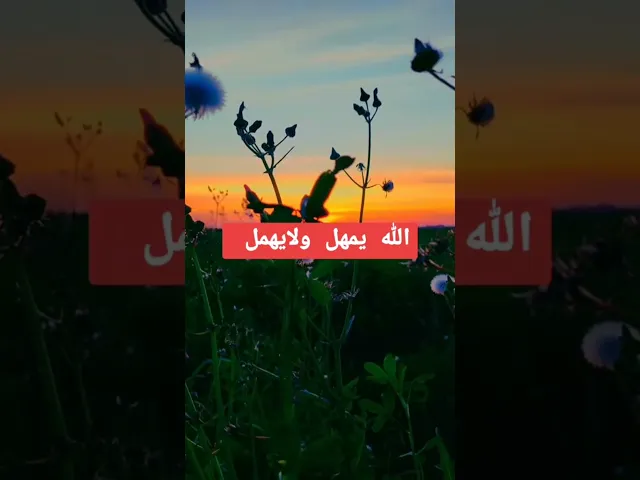⁣شبخ احمد الوائلي