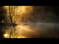 Download Lagu Morning Alarm Tone With Piano And Nature Sounds | Free Ringtone Downloads