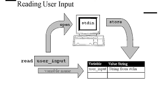 UNIX scripting techniques - Reading Data from the User Input RO